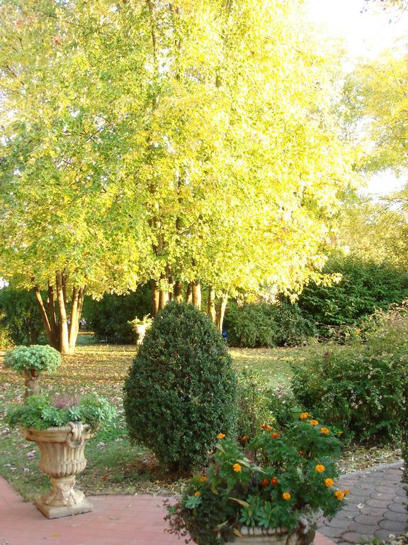 La Corte Del Cavaliere Bed & Breakfast Calderara di Reno Ngoại thất bức ảnh